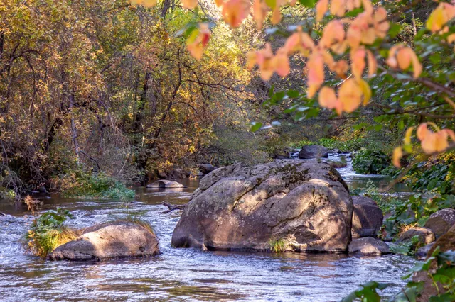 a view of a backyard of the house