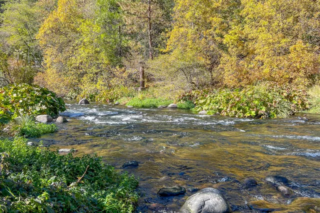 a backyard of a house with lots of green space