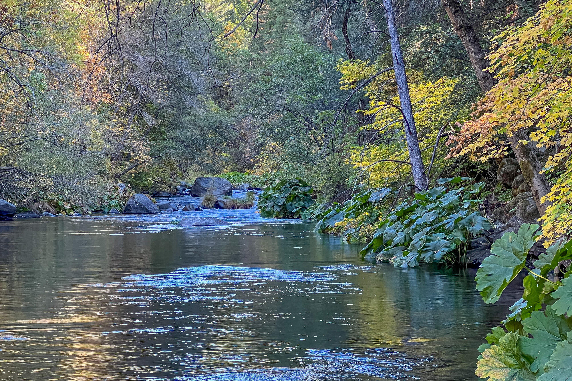 4245 Patricia Way Dunsmuir, CA 96025 - Photo 50 of 53 a view of a lake with a house in the background