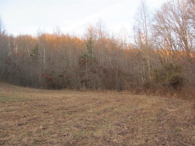 1 Wilson Cemetery Road Tyner, KY 40486 - Photo 7 of 13 Photo 7