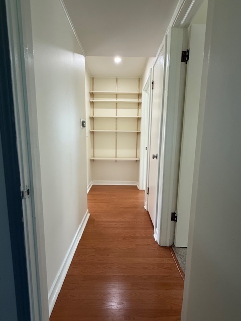 922 South Wolf Road Des Plaines, IL 60016 - Photo 11 of 14 Gallery Image 11