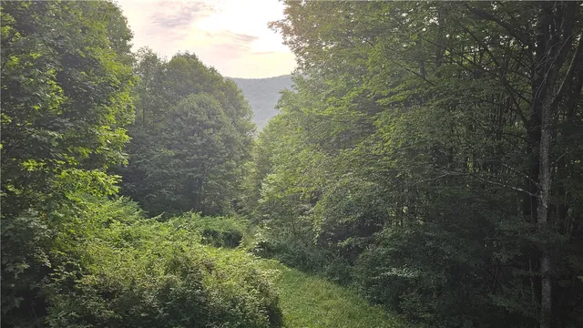 $140,000 | 0 State Highway, Deposit, NY 13754