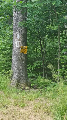 $140,000 | 0 State Highway, Deposit, NY 13754