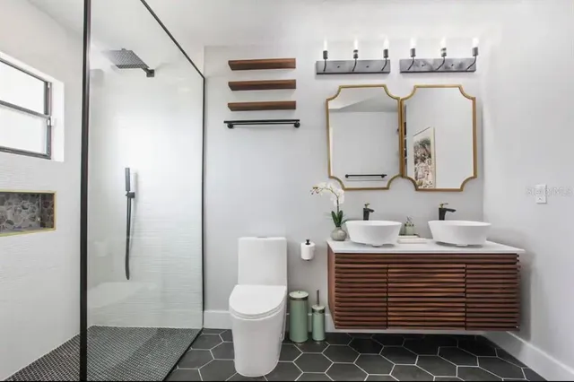 a room with a potted plant and a sink