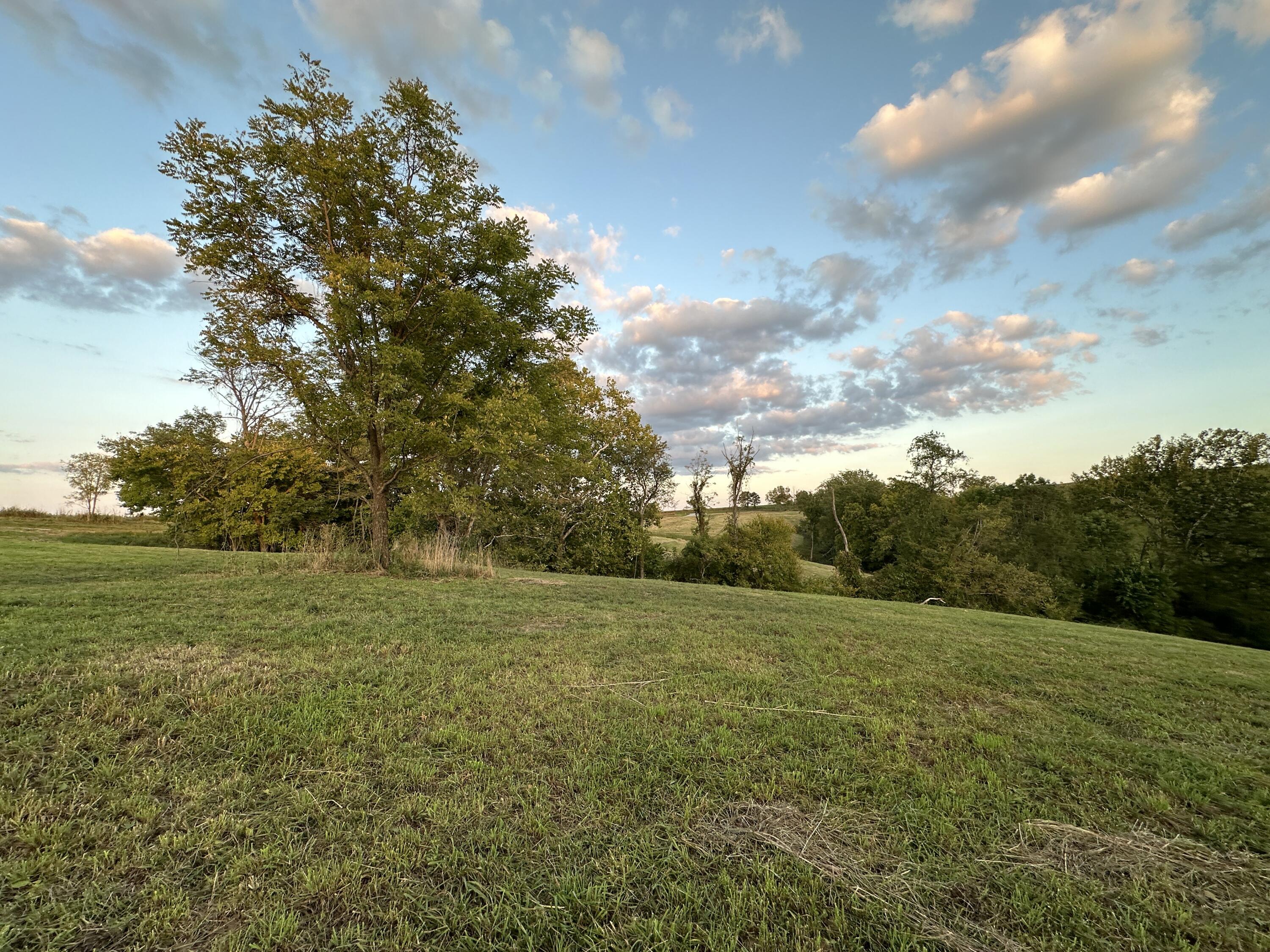 719 Upper Lick Road Moorefield, KY 40350 - Photo 25 of 29 Field