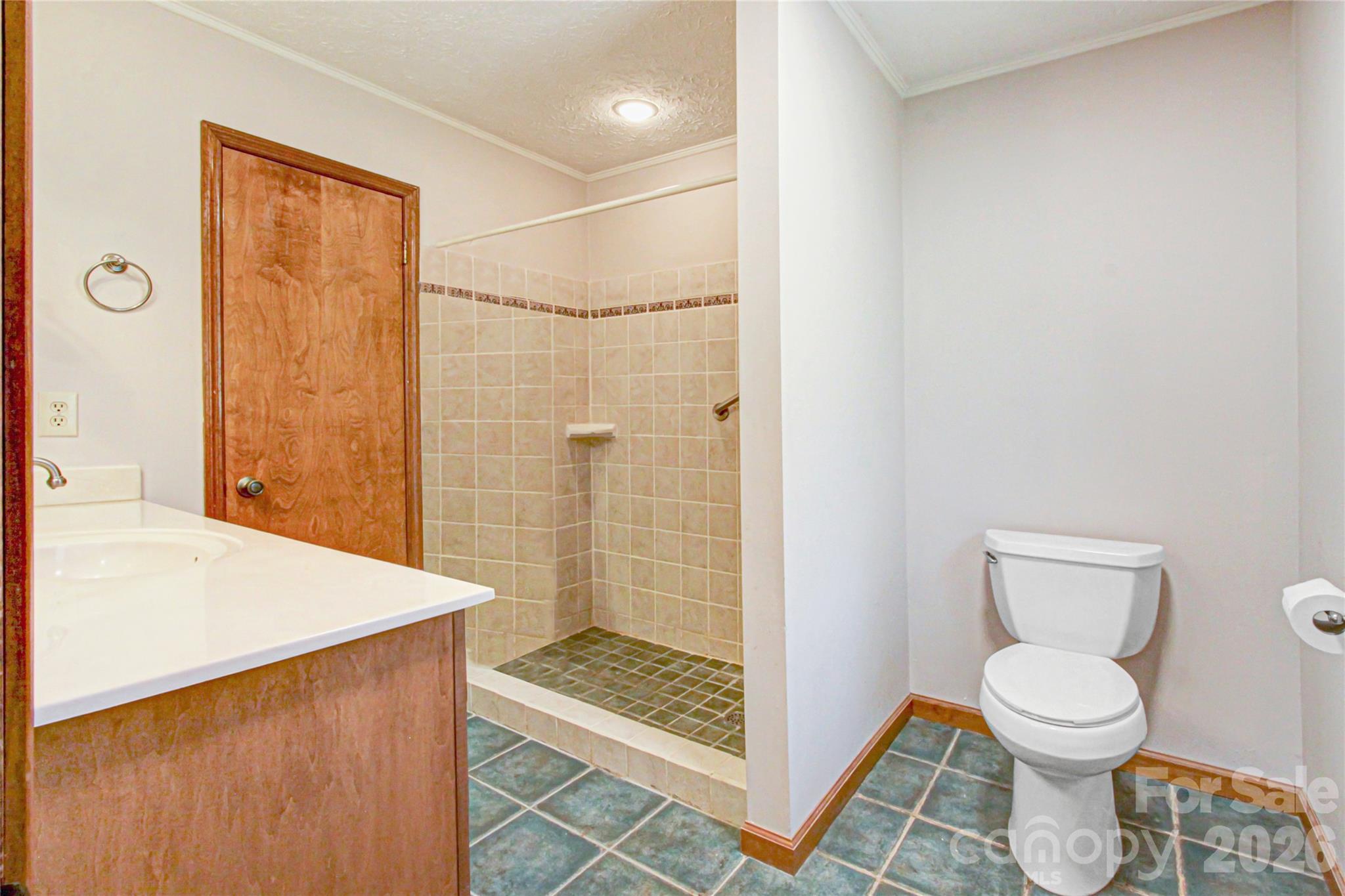 540 Chickadee Lane Brevard, NC 28712 - Photo 28 of 48