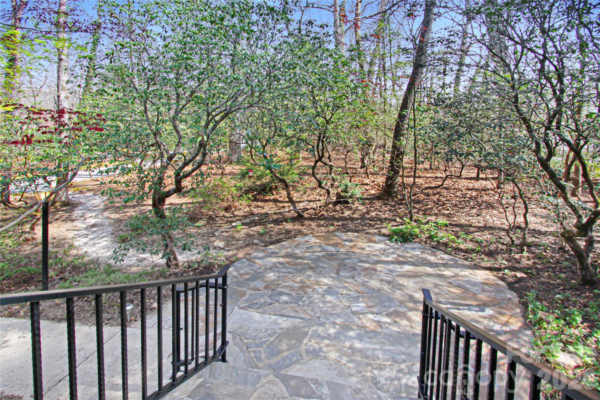 540 Chickadee Lane Brevard, NC 28712 - Photo 41 of 48