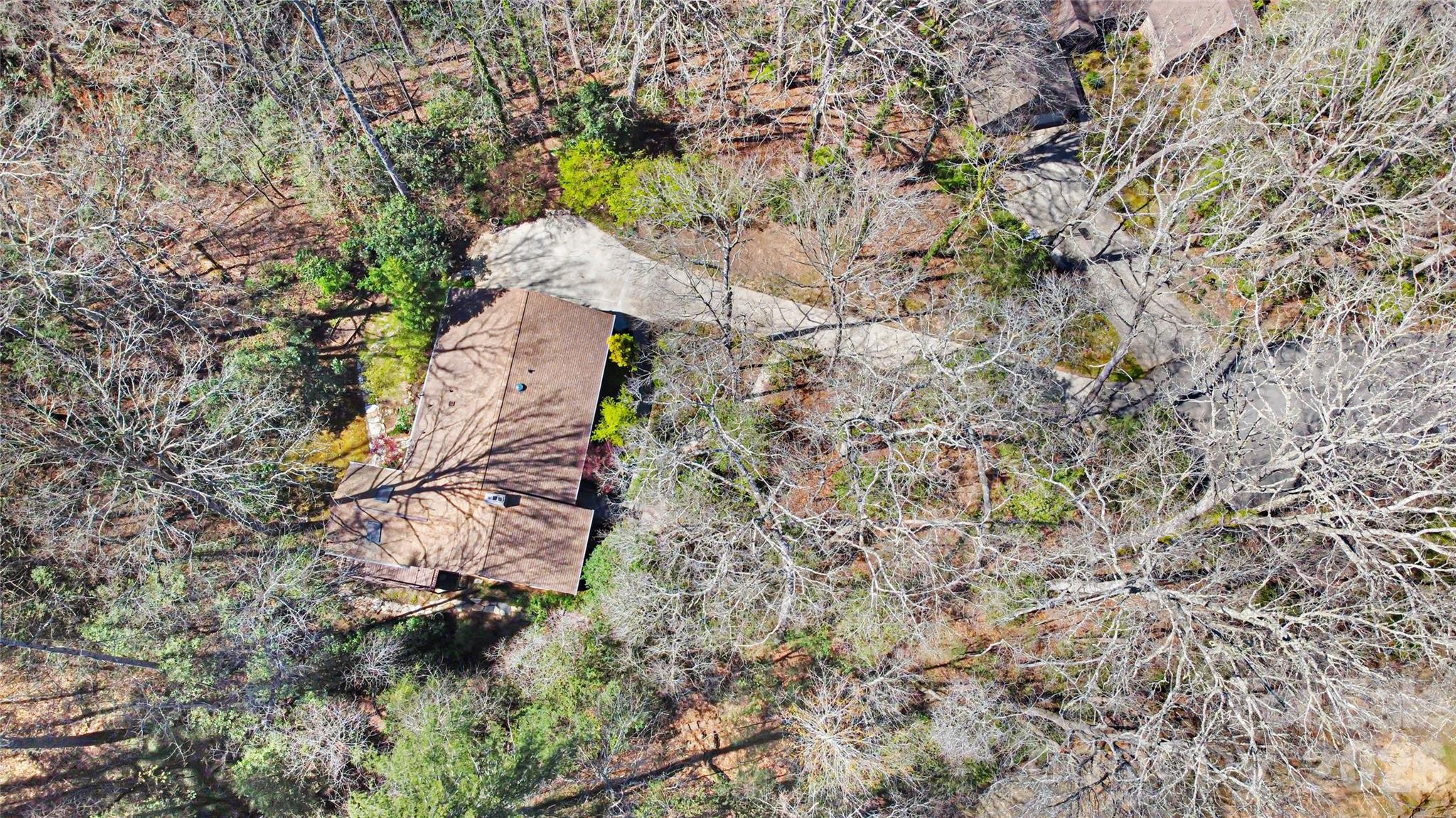 540 Chickadee Lane Brevard, NC 28712 - Photo 46 of 48