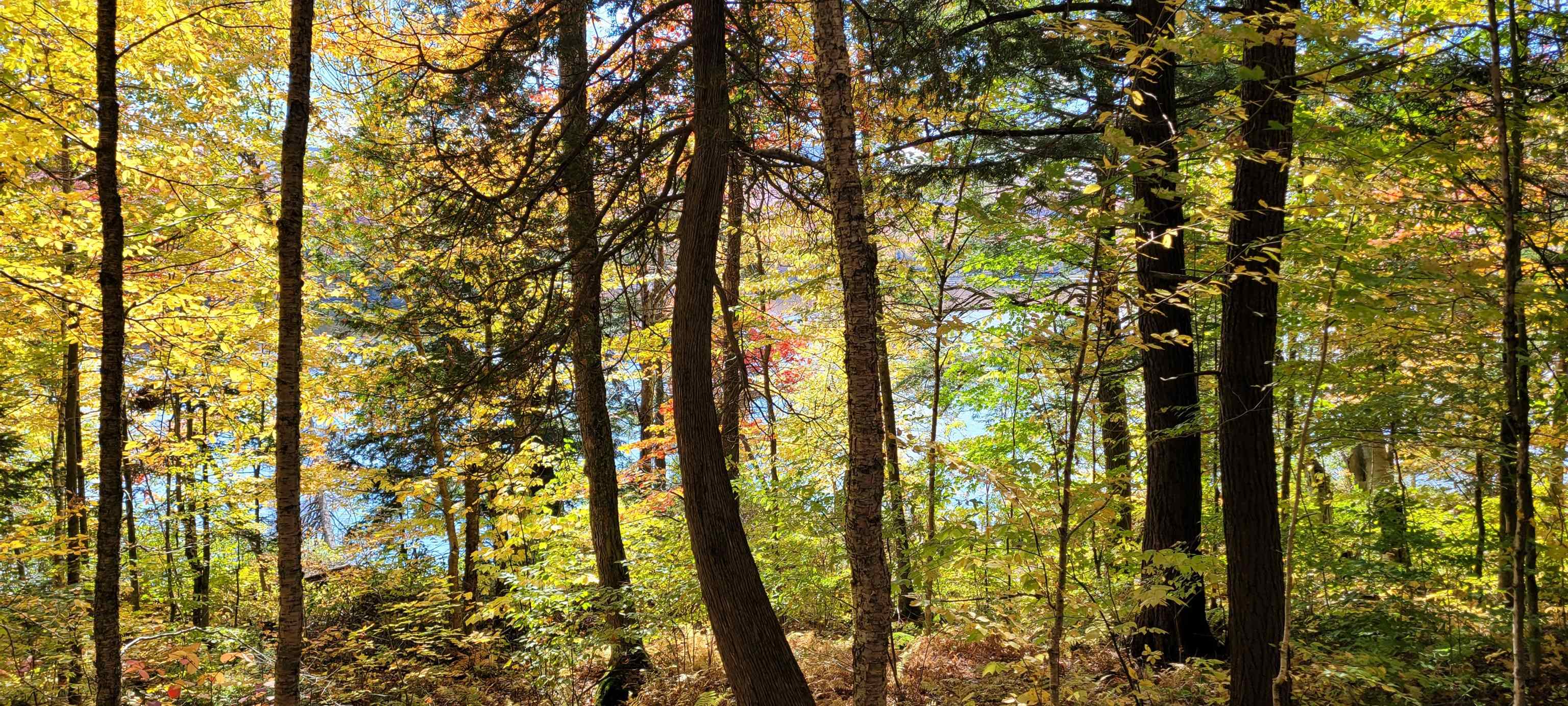 0 Lake Station Road Norton, VT 05907 - Photo 4 of 10