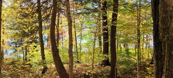$89,000 | 0 Lake Station Road, Norton, VT 05907