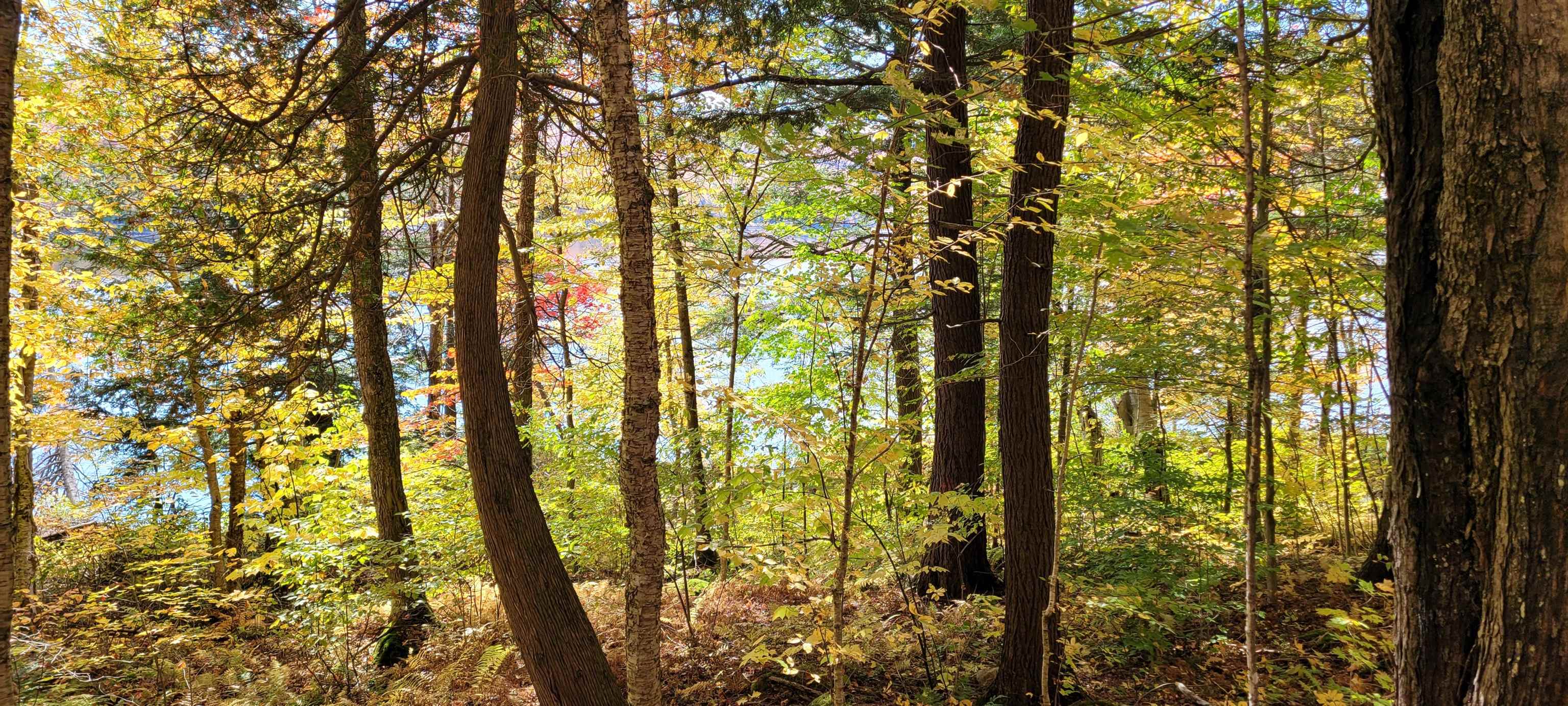 0 Lake Station Road Norton, VT 05907 - Photo 5 of 10