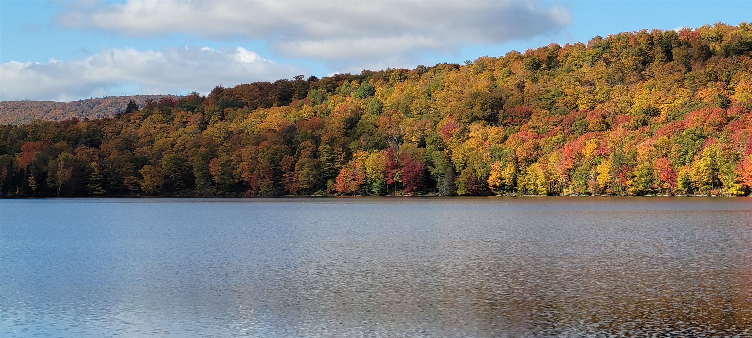 0 Lake Station Road Norton, VT 05907 - Photo 8 of 10