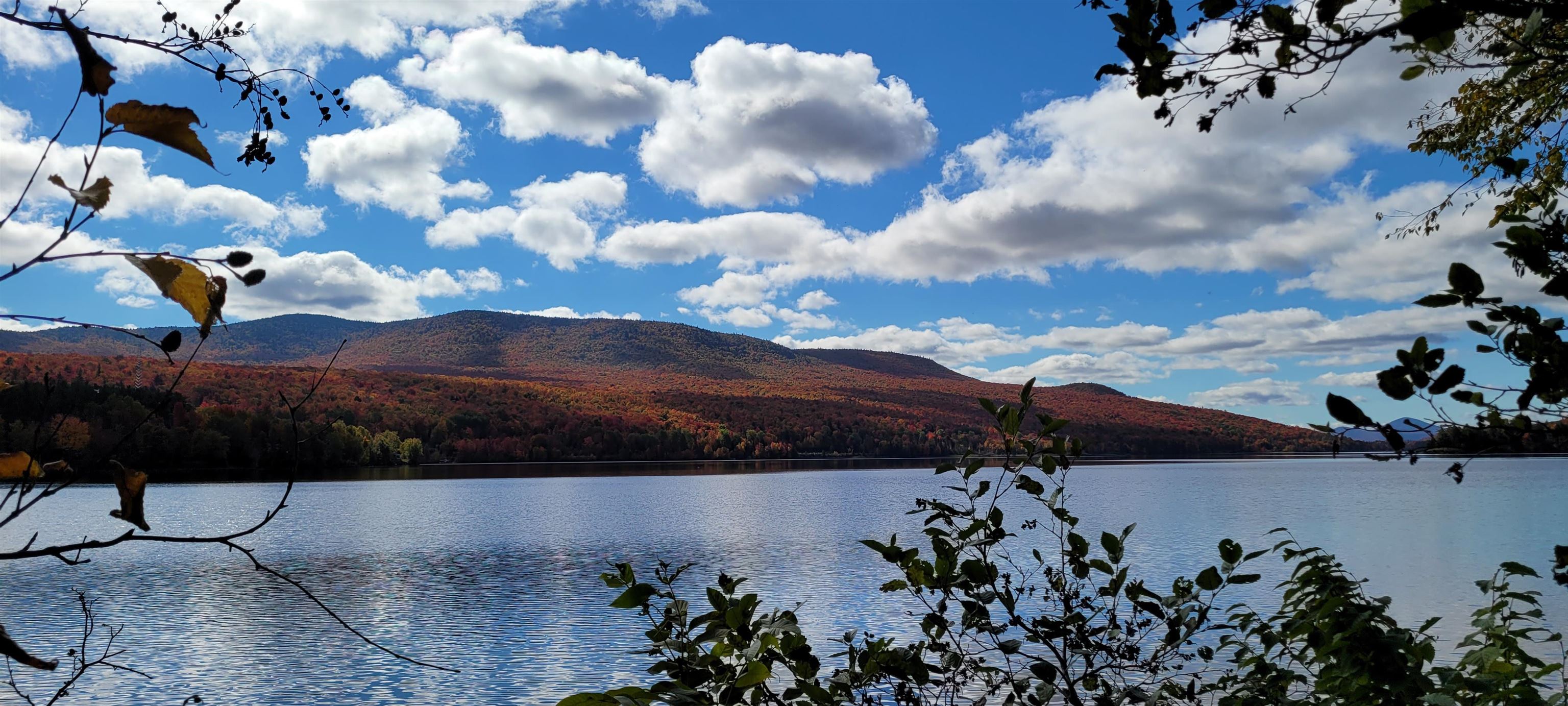 0 Lake Station Road Norton, VT 05907 - Photo 9 of 10