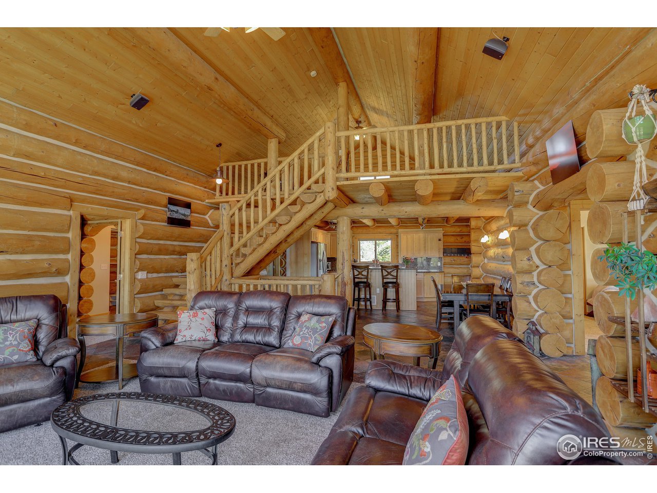 3748 North Rim Road Livermore, CO 80536 - Photo 15 of 40 Gallery Image 15