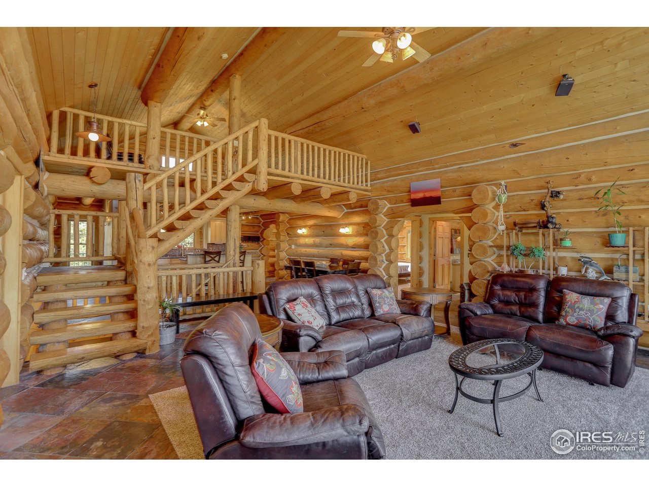 3748 North Rim Road Livermore, CO 80536 - Photo 19 of 40 Gallery Image 19