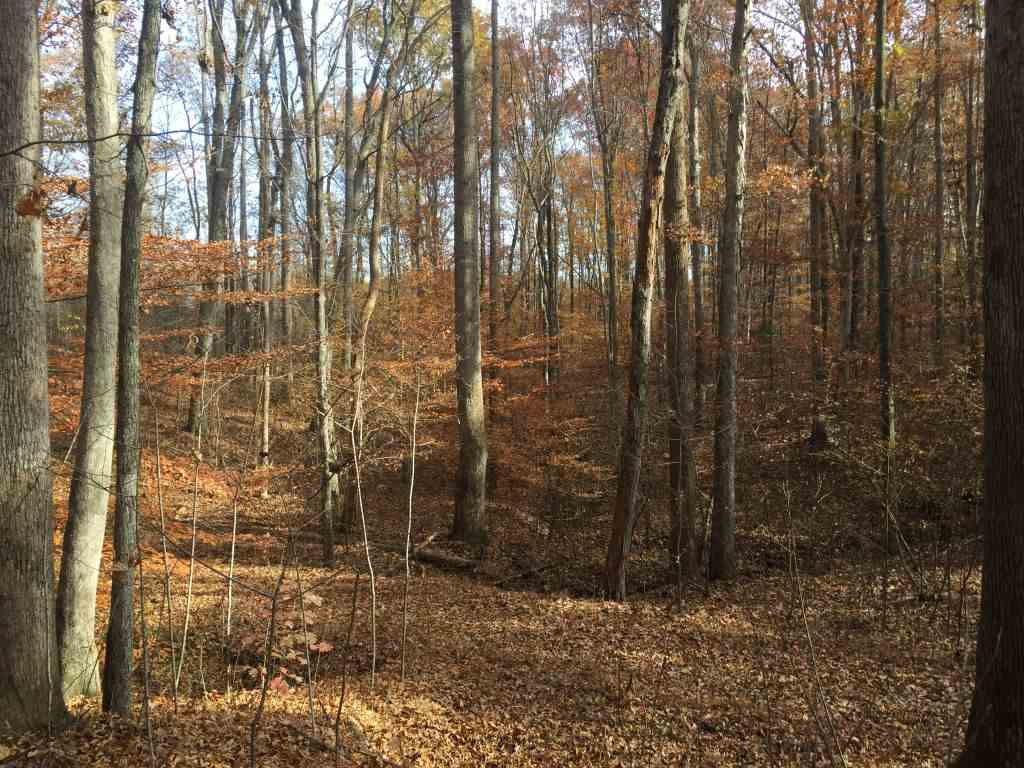 Bethesda Church Cemetery Road Ruffin, NC 27326 - Photo 3 of 12 Photo 3