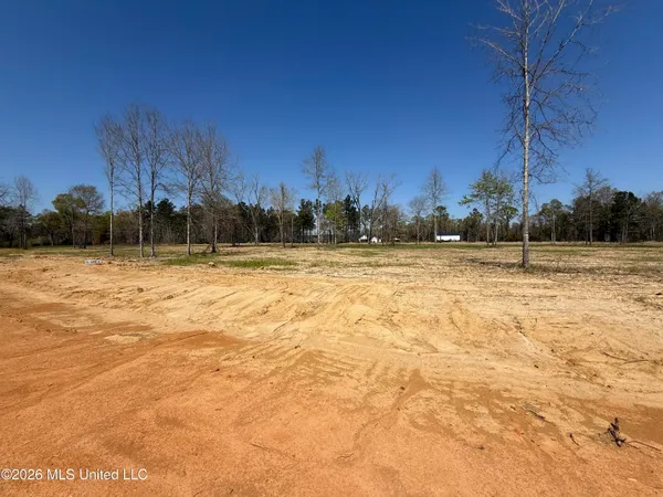 $34,900 | Lot 4 Oakley Lane, Lucedale, MS 39452