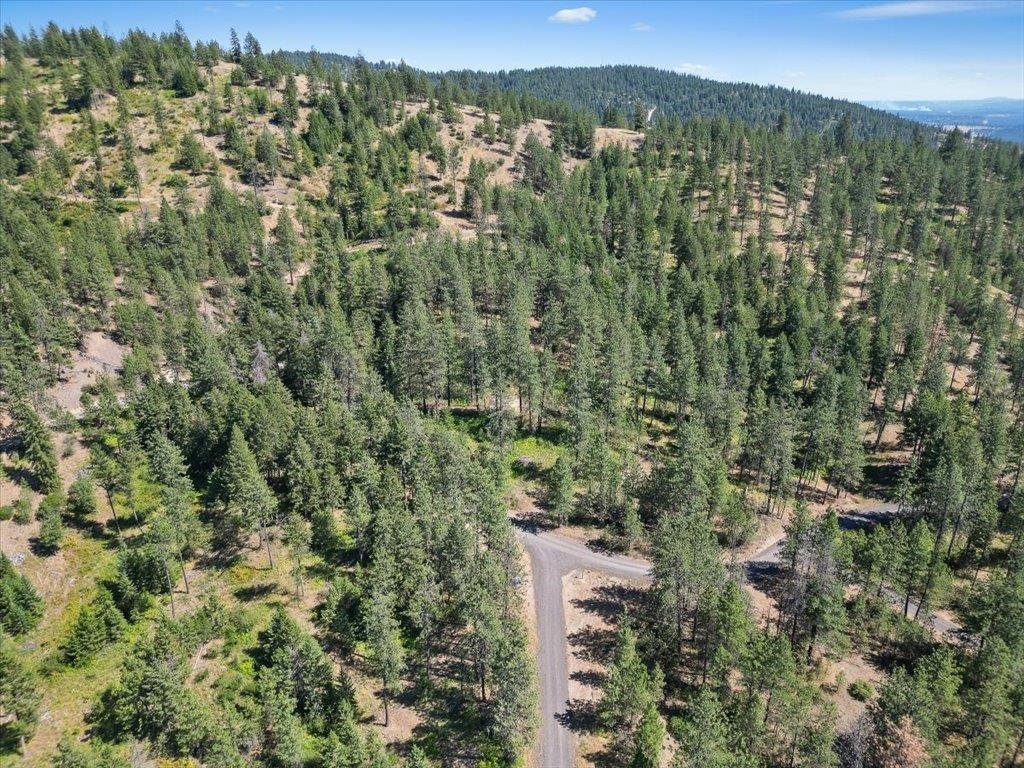 Nka Weaver Road, Unit LOT 3 OF LOT 1 Deer Park, WA 99006 - Photo 5 of 12