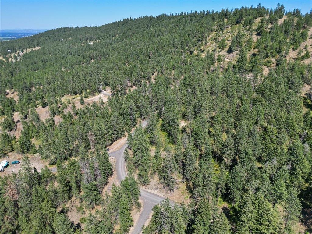 Nka Weaver Road, Unit LOT 3 OF LOT 1 Deer Park, WA 99006 - Photo 6 of 12