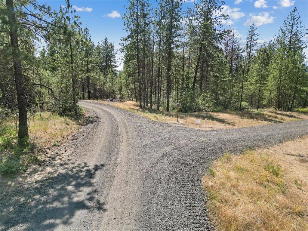 Nka Weaver Road, Unit LOT 3 OF LOT 1 Deer Park, WA 99006 - Photo 7 of 12