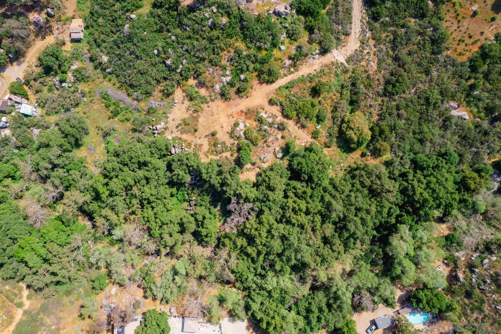 0 Via Viejas Oeste Alpine, CA 91901 - Photo 23 of 36 a view of a forest with a tree