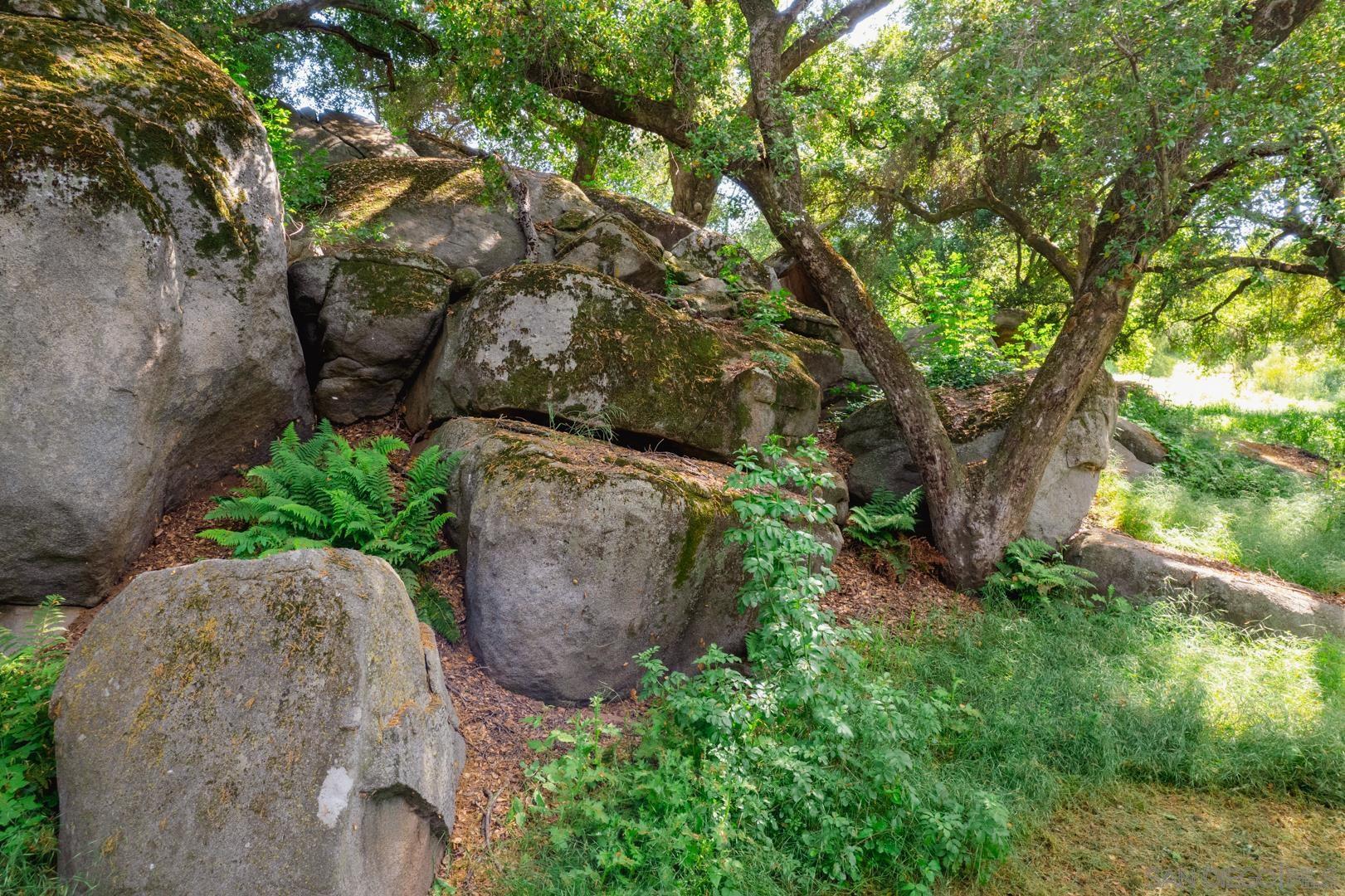 0 Via Viejas Oeste Alpine, CA 91901 - Photo 31 of 36 a view of a yard