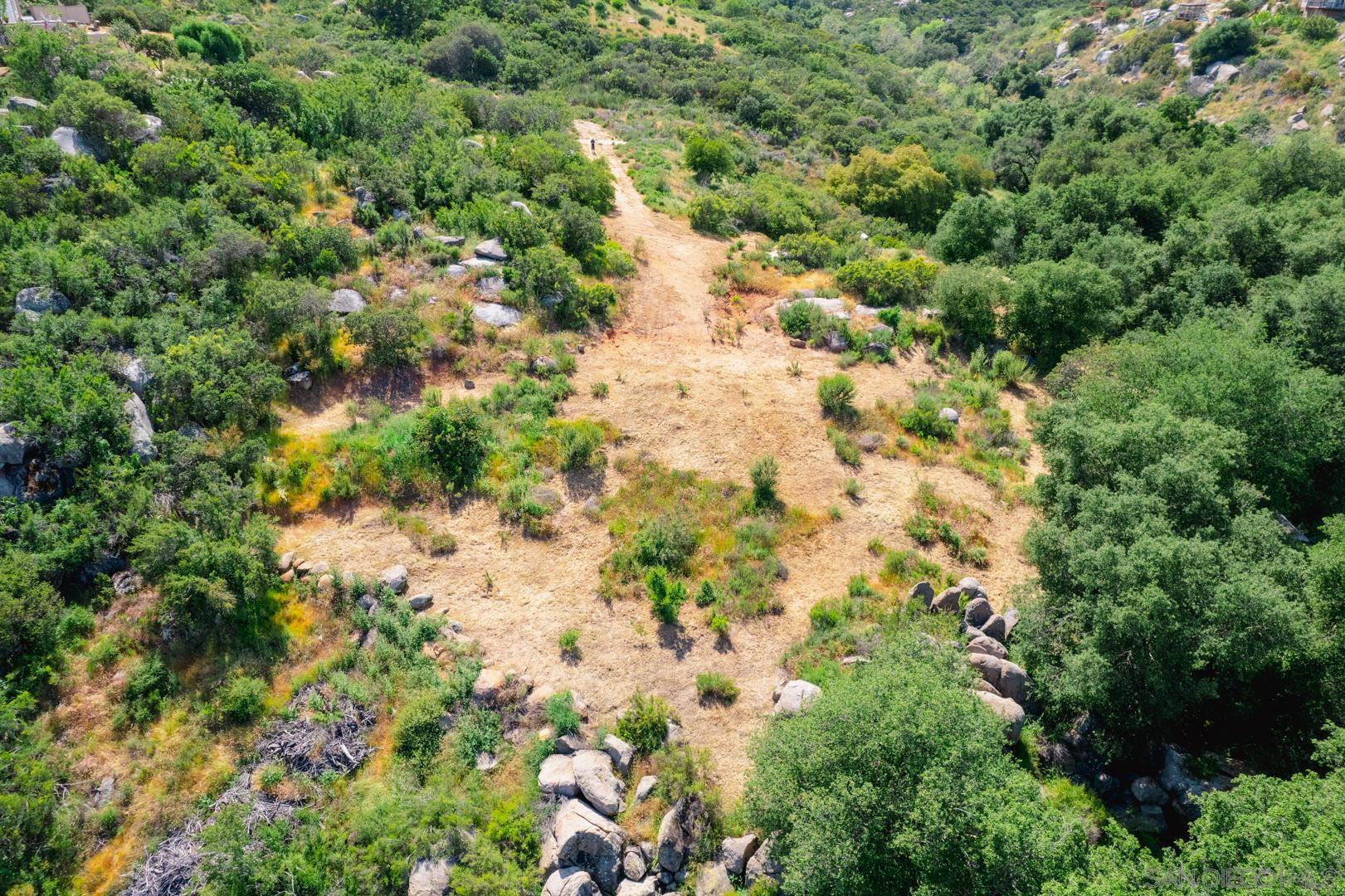 0 Via Viejas Oeste Alpine, CA 91901 - Photo 35 of 36 a view of a forest with a tree