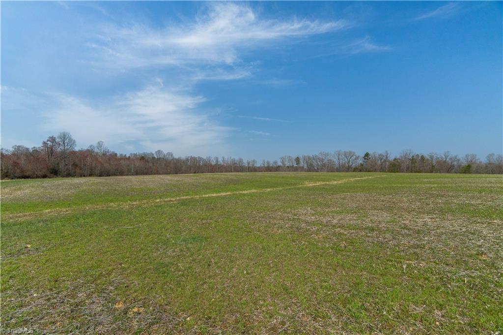 0 Sam Young Road Pine Hall, NC 27042 - Photo 4 of 15 Gallery Image 4