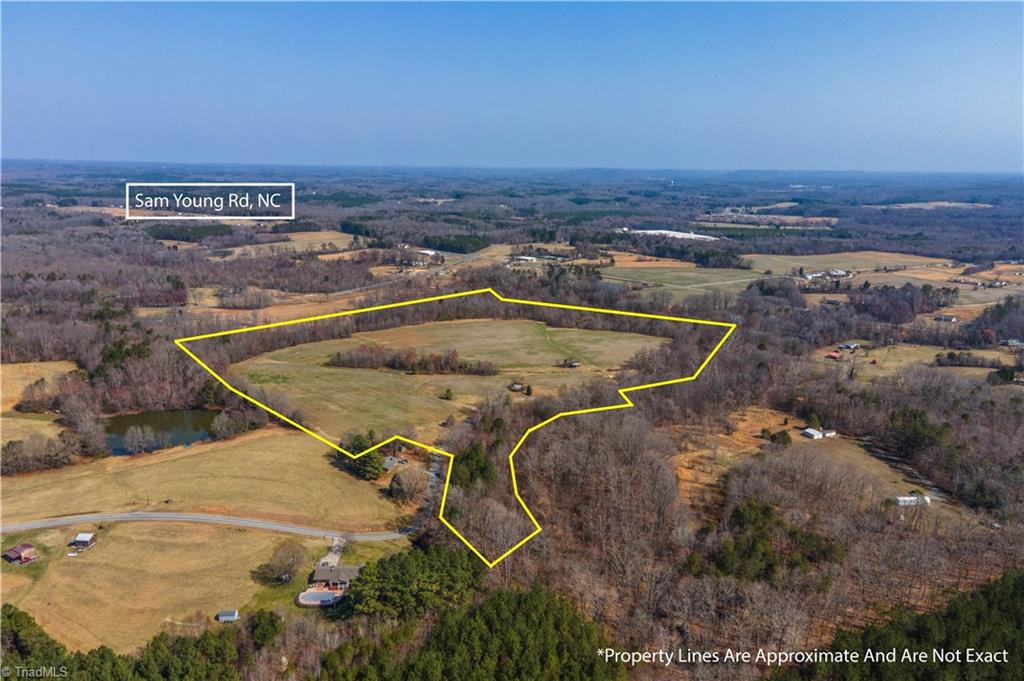 0 Sam Young Road Pine Hall, NC 27042 - Photo 9 of 15 Gallery Image 9