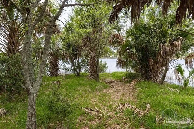 a view of a dirt road with trees in the background
