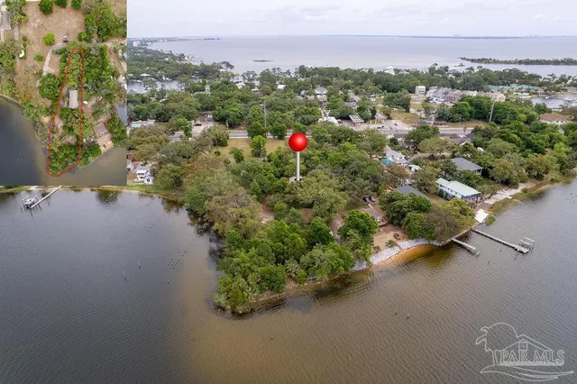 a view of a yard with plants and trees