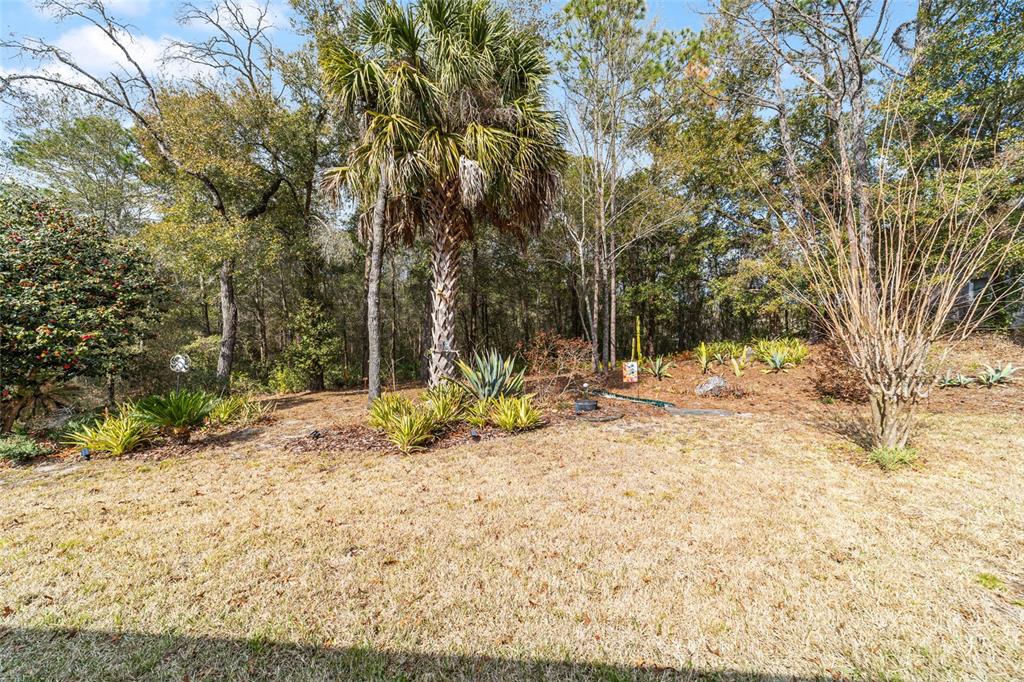 8769 Southwest 108th Street Ocala, FL 34481 - Photo 39 of 54