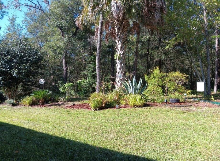 8769 Southwest 108th Street Ocala, FL 34481 - Photo 51 of 54