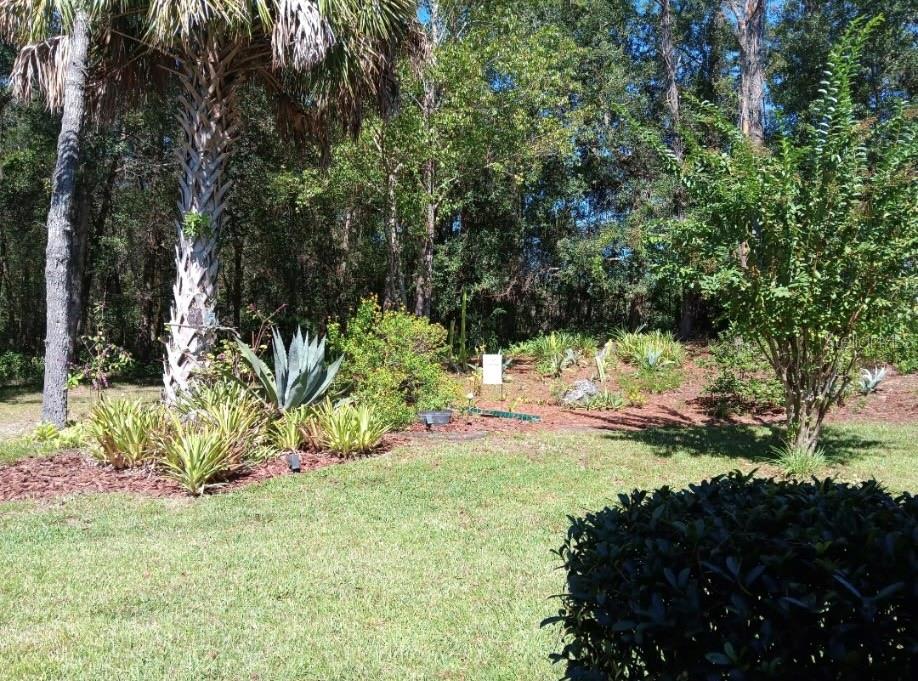 8769 Southwest 108th Street Ocala, FL 34481 - Photo 53 of 54