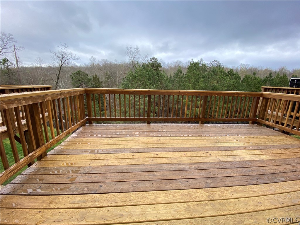 13349 Diamond Ridge Drive Midlothian, VA 23112 - Photo 39 of 41 Gallery Image 39