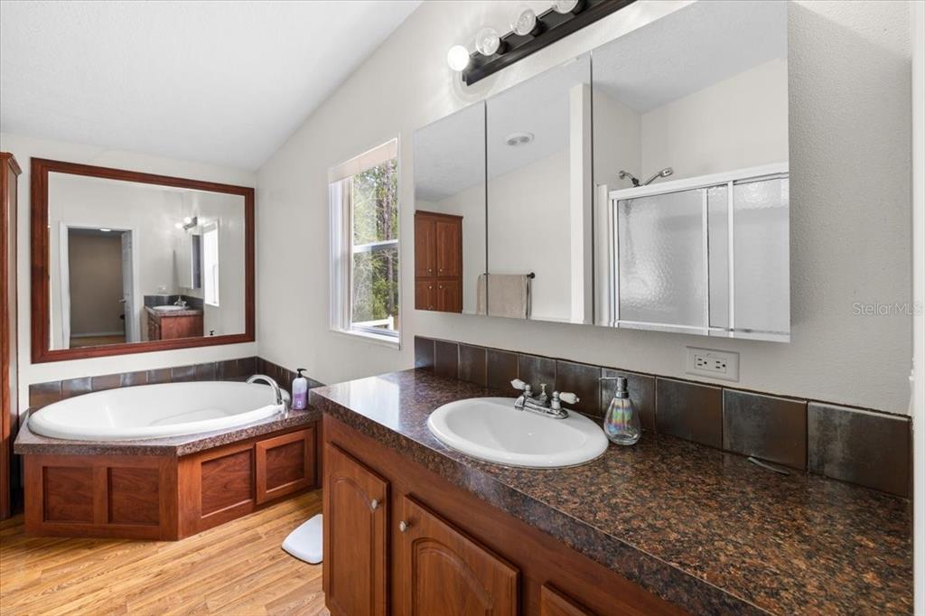 15624 Peace Boulevard Spring Hill, FL 34610 - Photo 19 of 59
