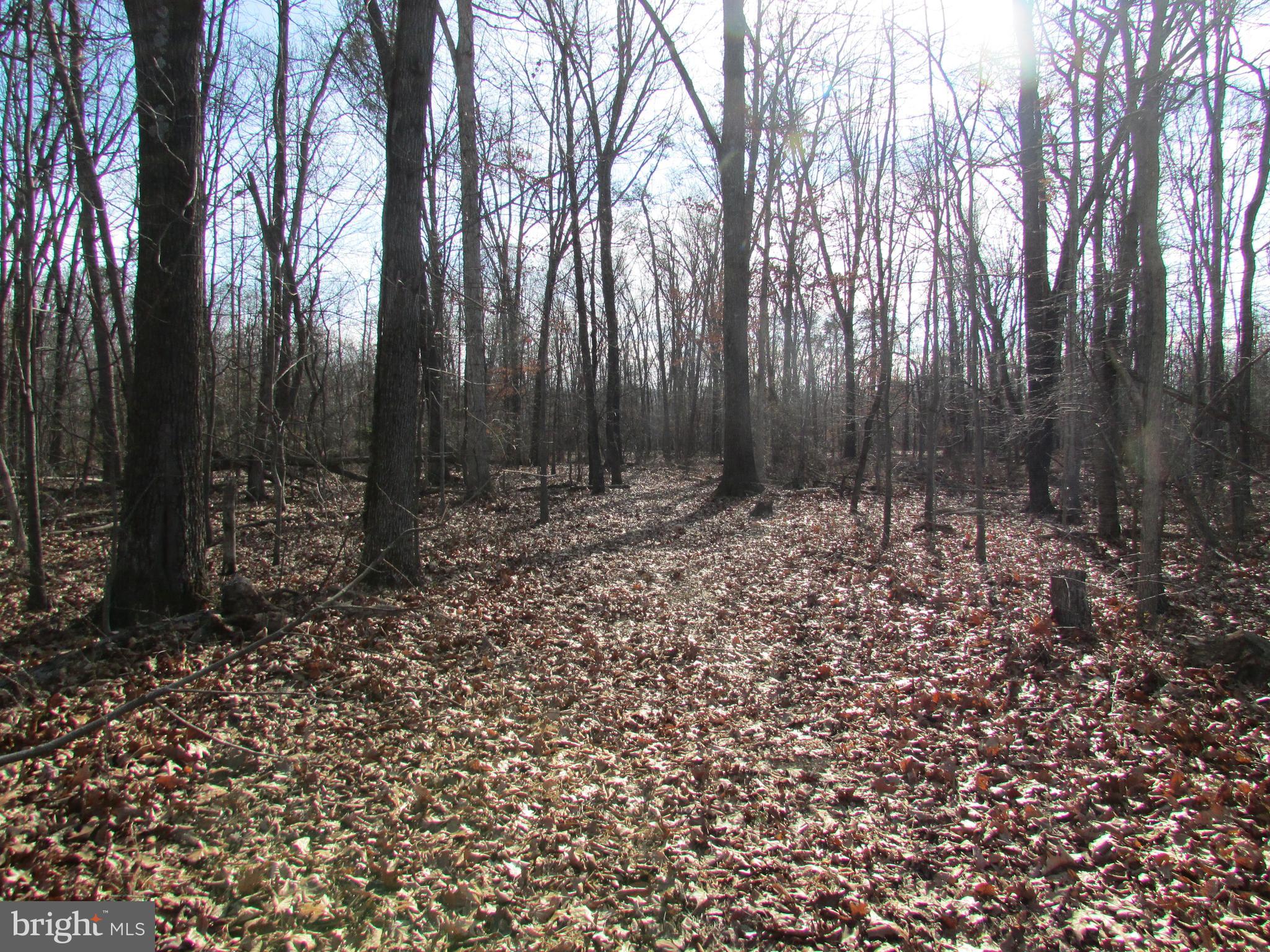 0 Archer Road Kearneysville, WV 25430 - Photo 3 of 9 Gallery Image 3