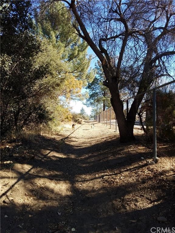 0 Hop Patch Spring Road Mountain Center, CA 92561 - Photo 11 of 27