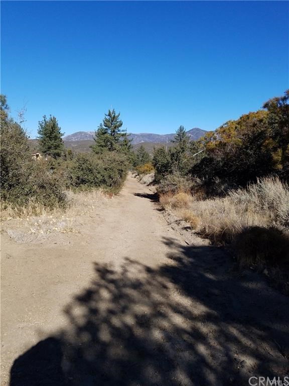 0 Hop Patch Spring Road Mountain Center, CA 92561 - Photo 12 of 27