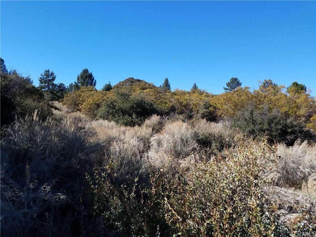 0 Hop Patch Spring Road Mountain Center, CA 92561 - Photo 13 of 27