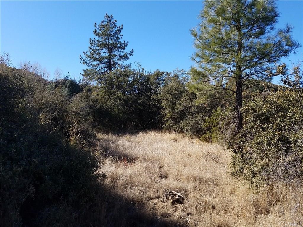 0 Hop Patch Spring Road Mountain Center, CA 92561 - Photo 16 of 27