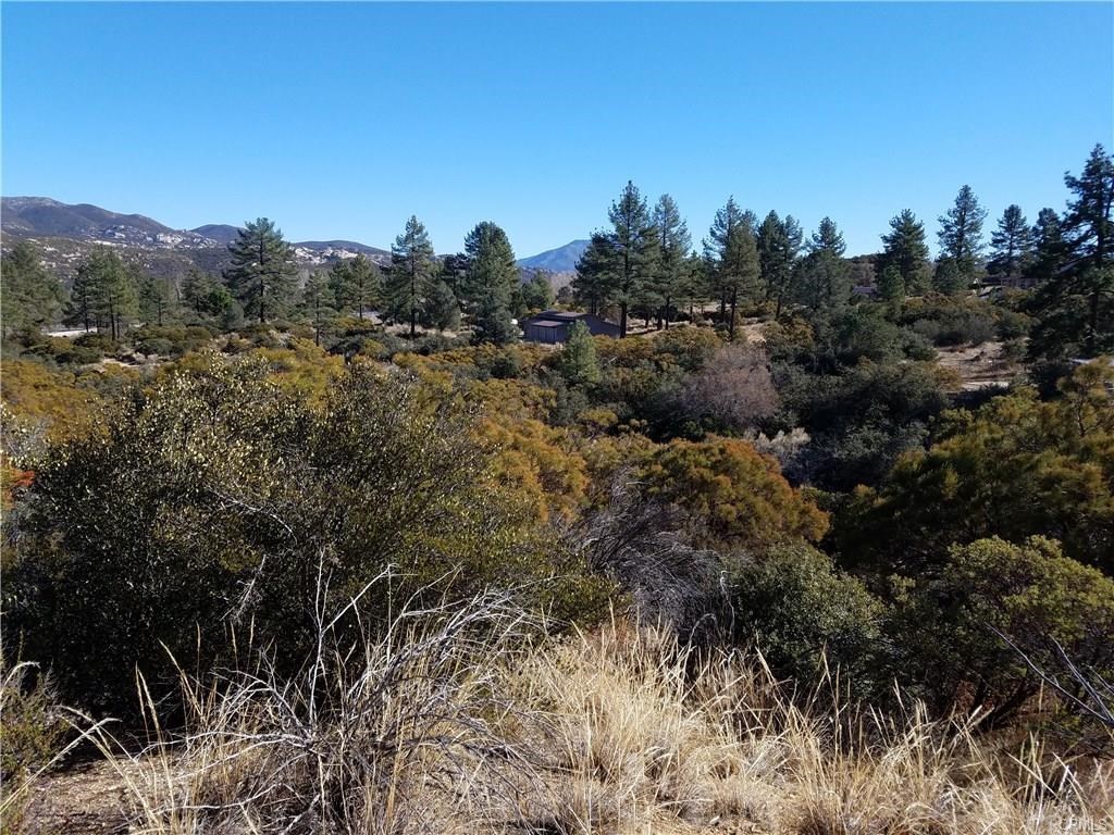 0 Hop Patch Spring Road Mountain Center, CA 92561 - Photo 17 of 27