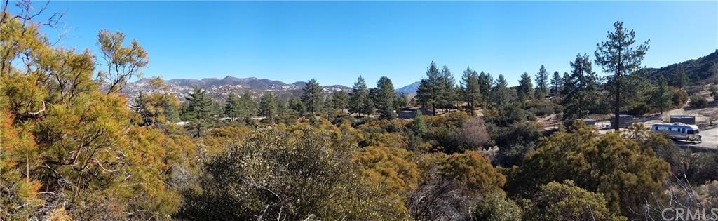 0 Hop Patch Spring Road Mountain Center, CA 92561 - Photo 18 of 27