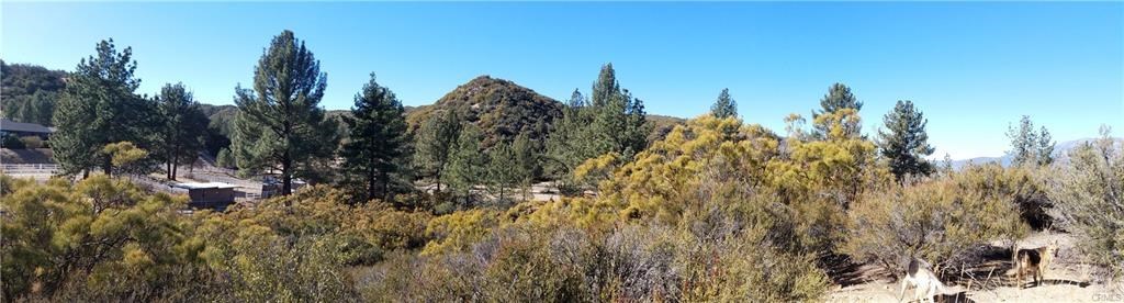 0 Hop Patch Spring Road Mountain Center, CA 92561 - Photo 19 of 27