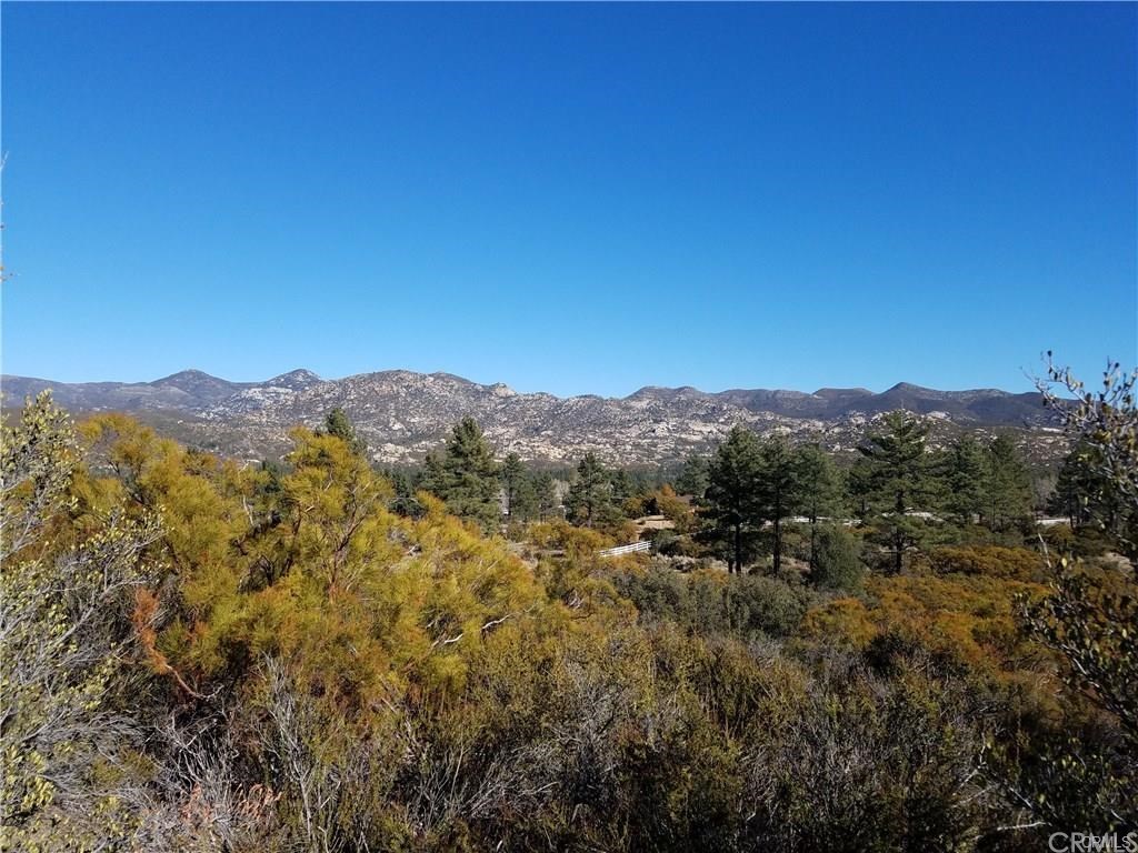 0 Hop Patch Spring Road Mountain Center, CA 92561 - Photo 20 of 27