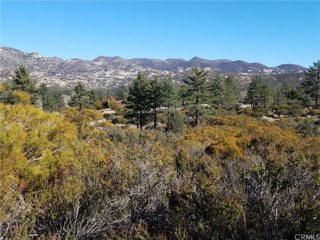 0 Hop Patch Spring Road Mountain Center, CA 92561 - Photo 21 of 27