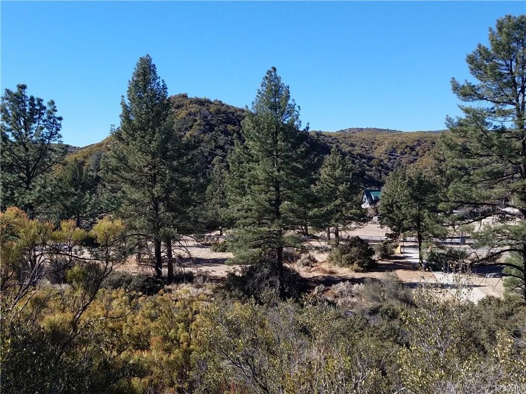 0 Hop Patch Spring Road Mountain Center, CA 92561 - Photo 22 of 27