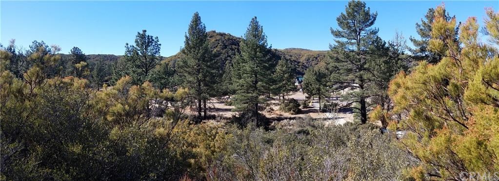0 Hop Patch Spring Road Mountain Center, CA 92561 - Photo 23 of 27