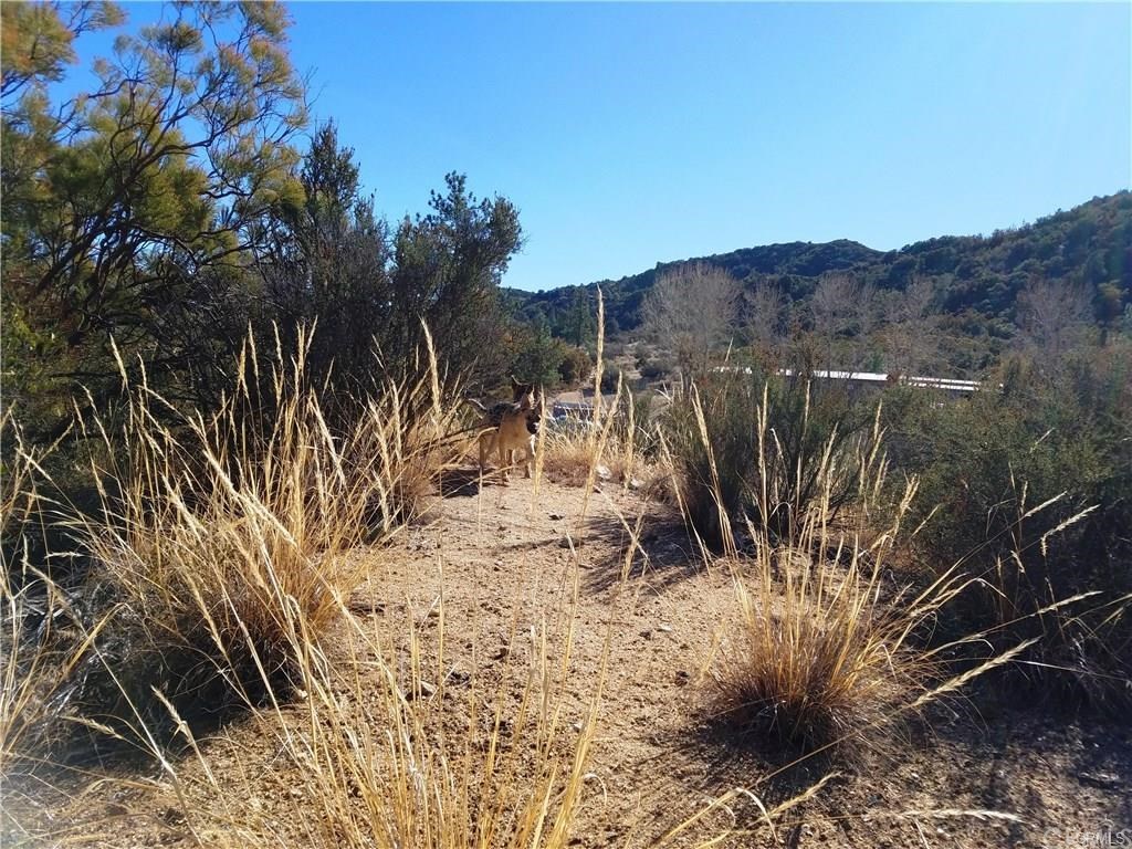 0 Hop Patch Spring Road Mountain Center, CA 92561 - Photo 24 of 27