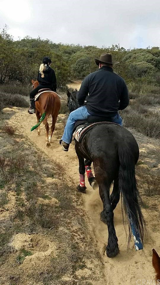 0 Hop Patch Spring Road Mountain Center, CA 92561 - Photo 25 of 27